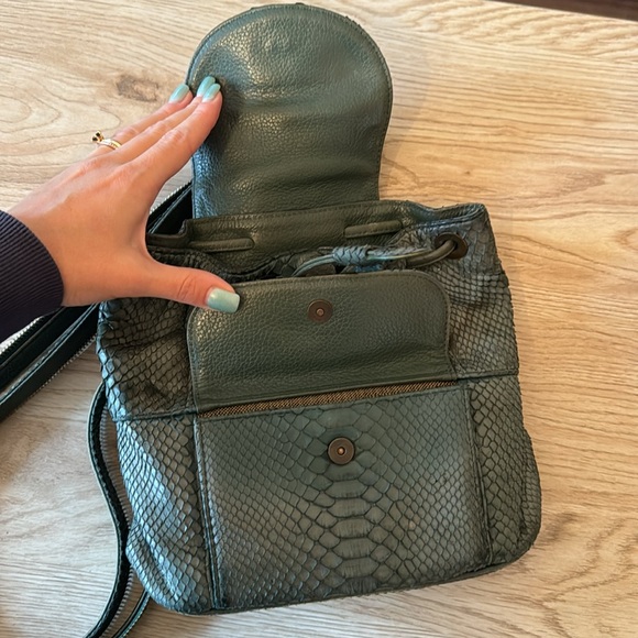 Real python snake 100% almost new - Picture 3 of 10